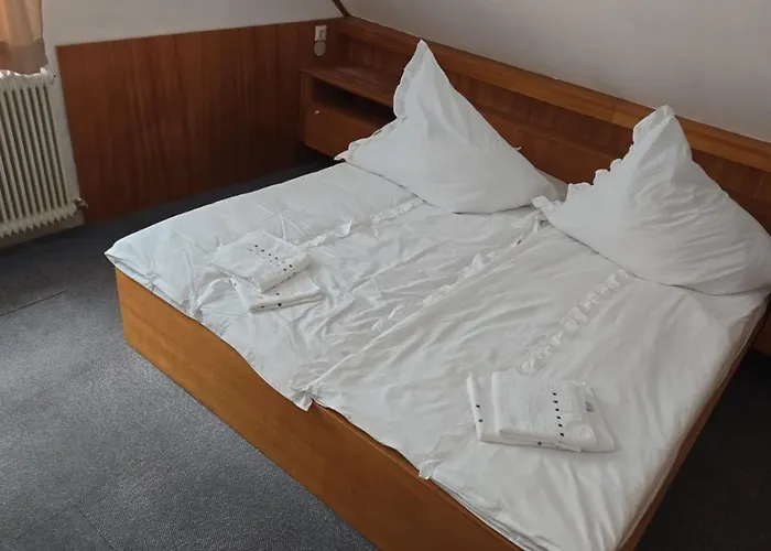 Hirsch Gmbh * Hypolz